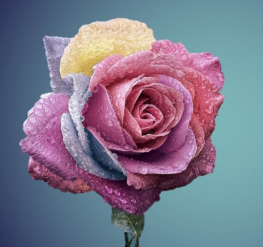 匯勝反光漆恭祝母親節(jié)